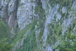 Munţii Zugspitze - Intrarea în defileu