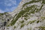 Munţii Zugspitze - Brett detaliu