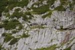 Munţii Zugspitze - Brett detaliu