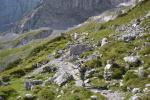 Munţii Zugspitze - Pe potecă