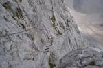 Munţii Zugspitze - Șufă și pini